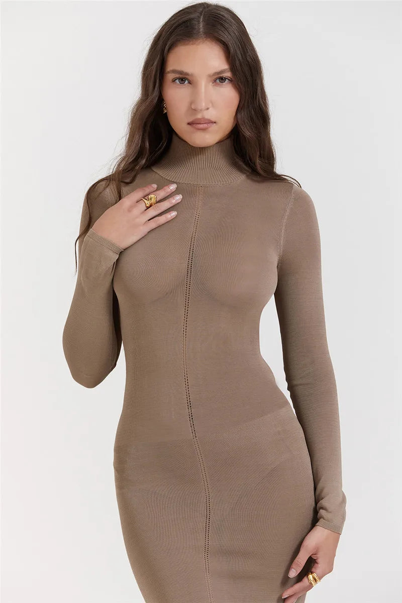 Novira | Sleek Turtleneck Midi Dress