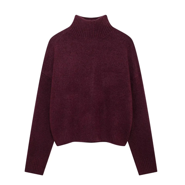 Lioraelle | Elegant Knit Turtleneck Sweater