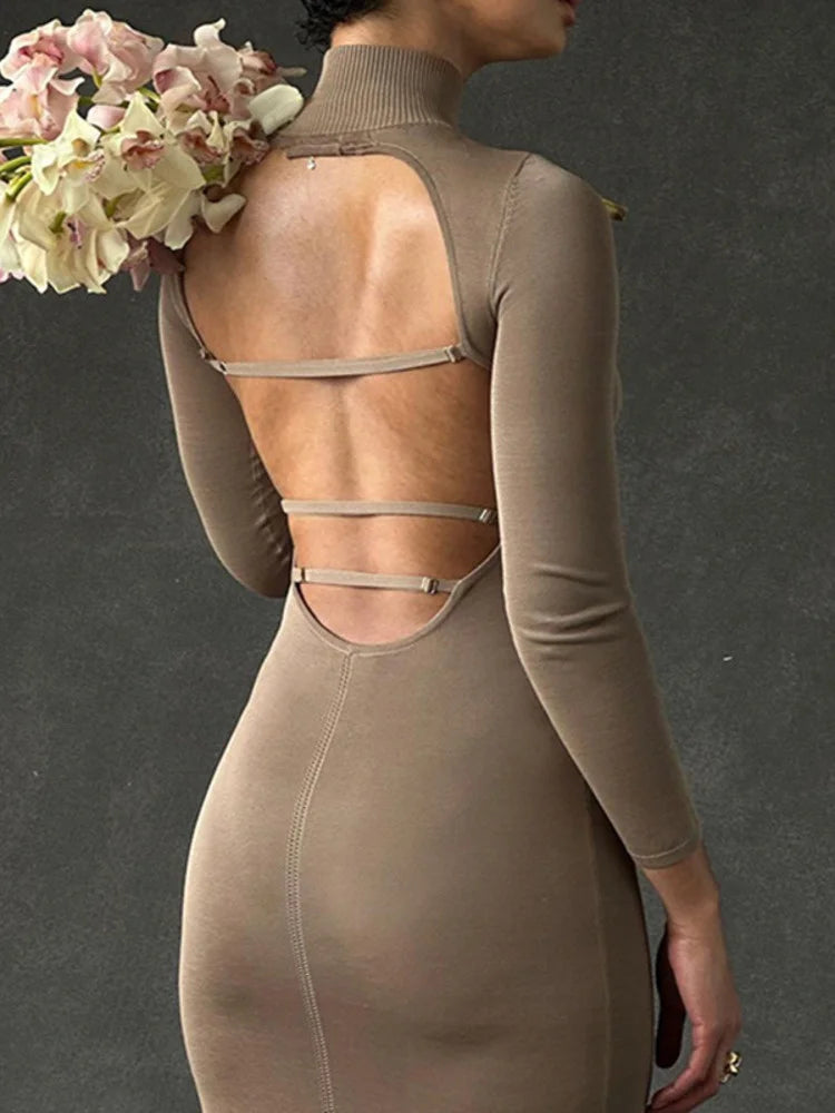 Novira | Sleek Turtleneck Midi Dress